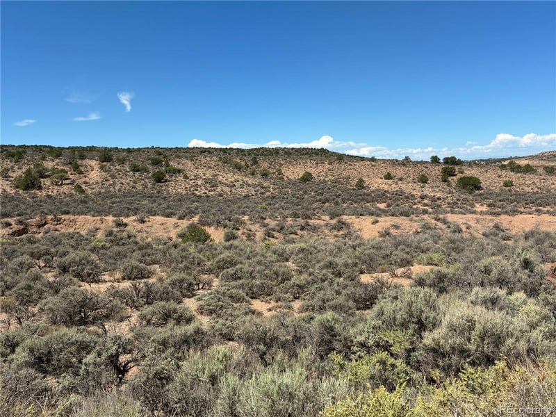 10AC Icehouse Rd, Fort Garland, CO 81133