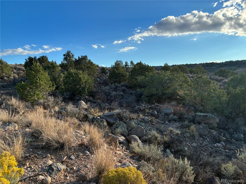 10AC Icehouse Rd, Fort Garland, CO 81133