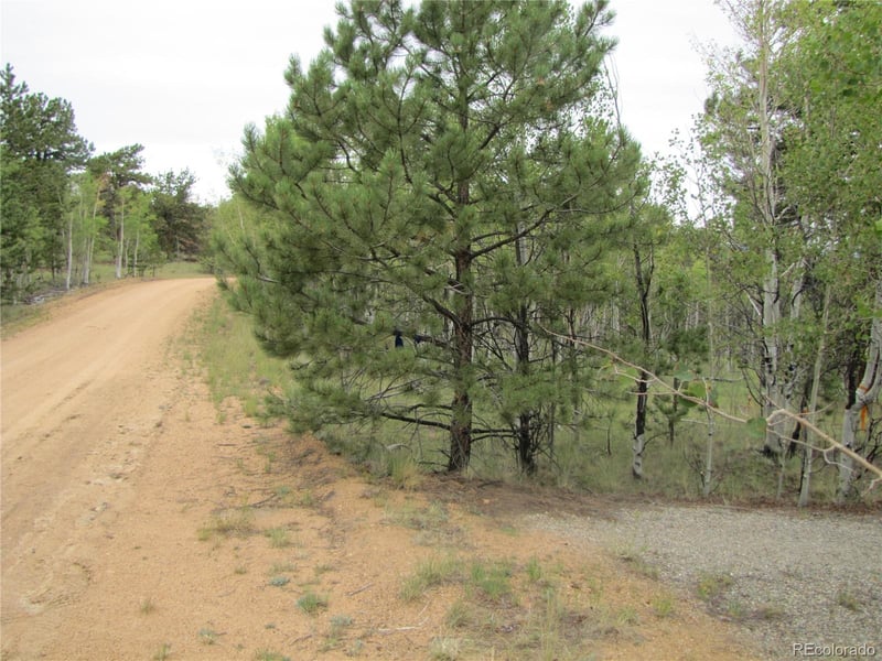 657 Pine Ln, Hartsel, CO 80449
