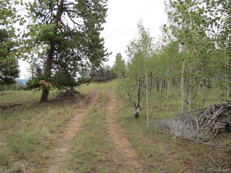657 Pine Ln, Hartsel, CO 80449