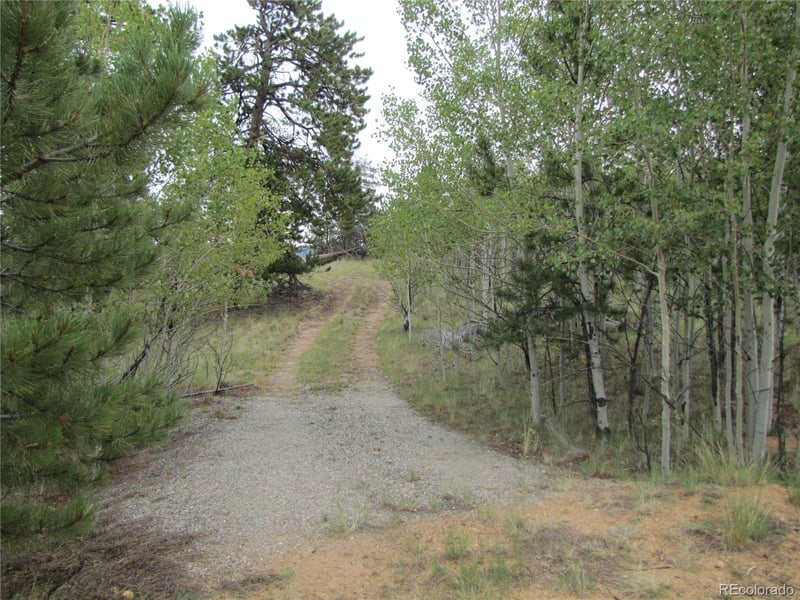 657 Pine Ln, Hartsel, CO 80449