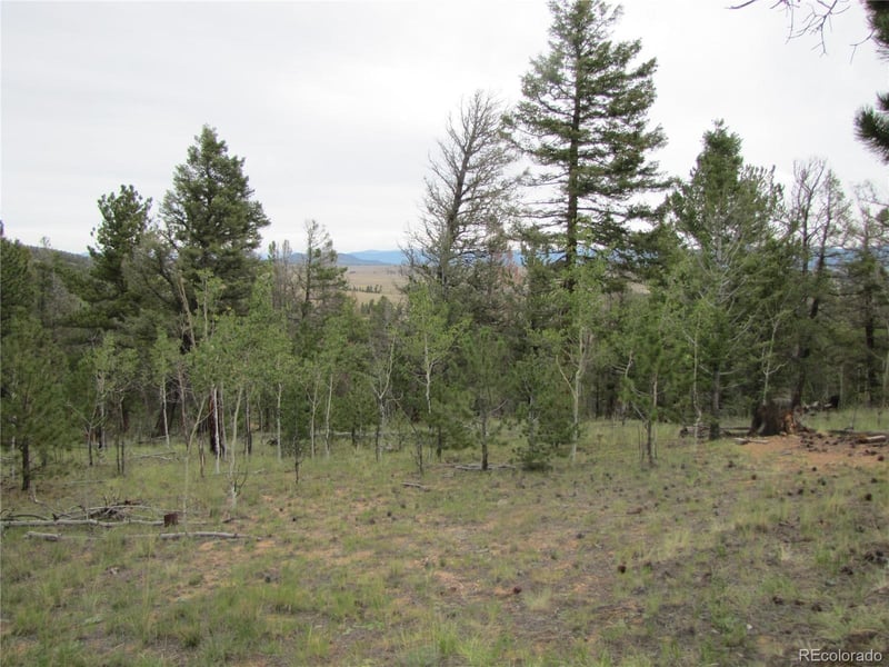 657 Pine Ln, Hartsel, CO 80449