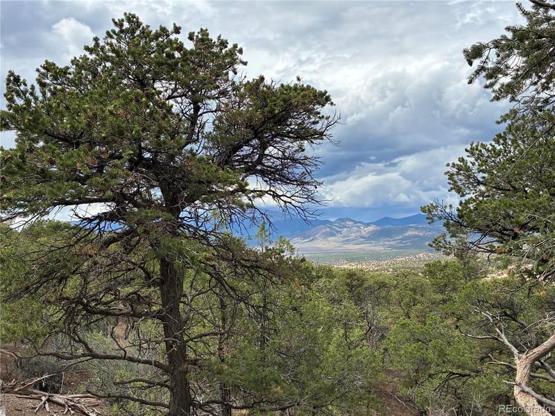LOT 7908 Blaine Rd, Fort Garland, CO 81133