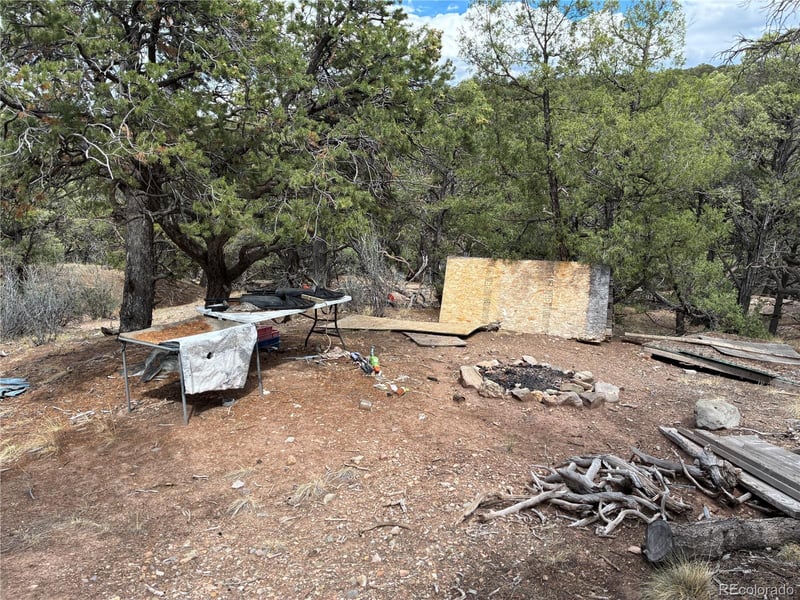 LOT 7908 Blaine Rd, Fort Garland, CO 81133