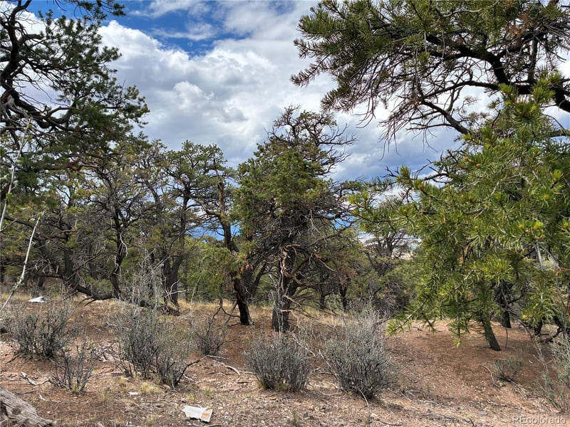LOT 7908 Blaine Rd, Fort Garland, CO 81133