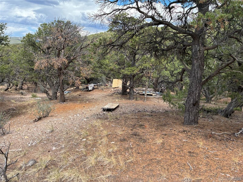 LOT 7908 Blaine Rd, Fort Garland, CO 81133