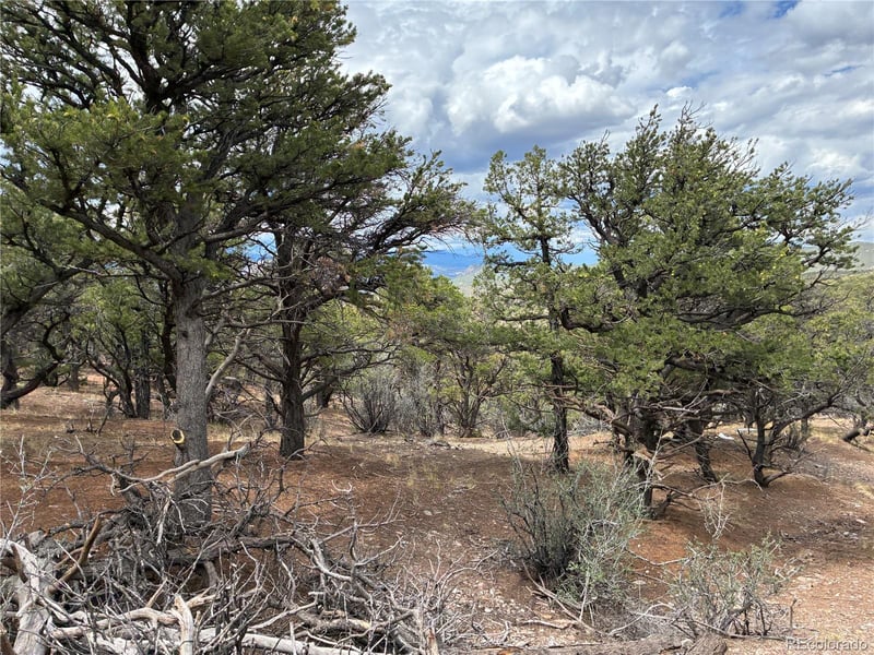 LOT 7908 Blaine Rd, Fort Garland, CO 81133