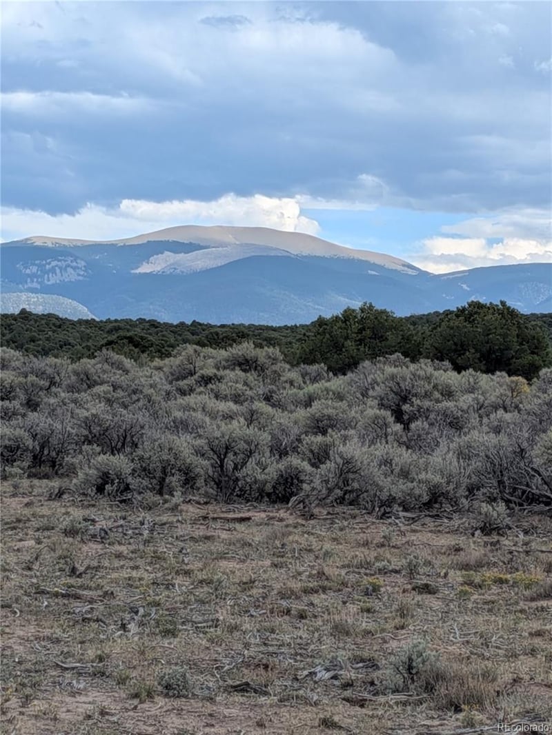 Lot 42 Big Buck Trl Lot 42, San Luis, CO 81152