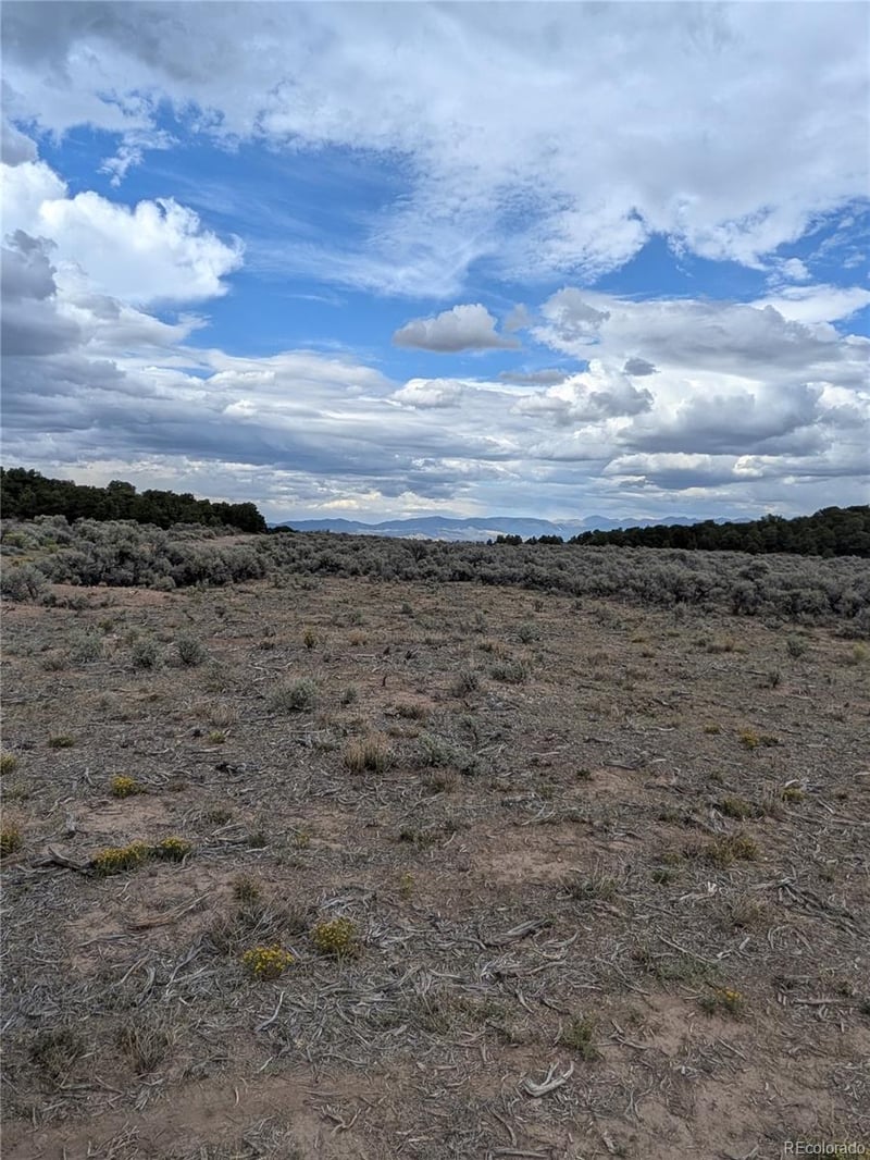 Lot 42 Big Buck Trl Lot 42, San Luis, CO 81152