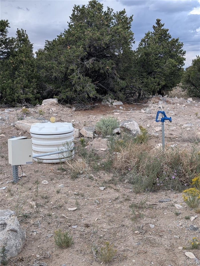 Lot 42 Big Buck Trl Lot 42, San Luis, CO 81152