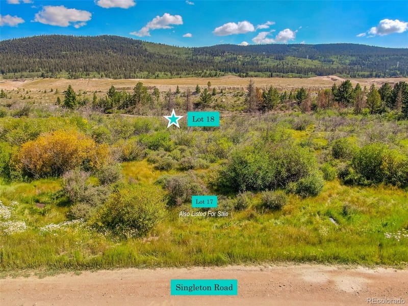 Lot 18 Singleton Rd, Alma, CO 80420