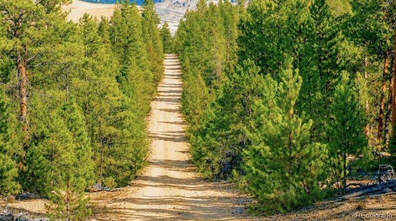 Lot 56 Lodgepole Dr Lot 56, Leadville, CO 80461