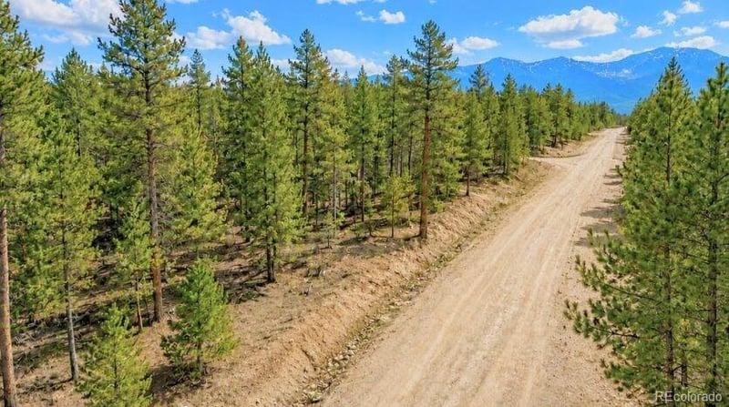 Lot 56 Lodgepole Dr Lot 56, Twin Lakes, CO 80461