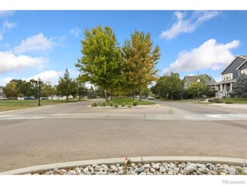 1114 Crescent Dr, Windsor, CO 80550