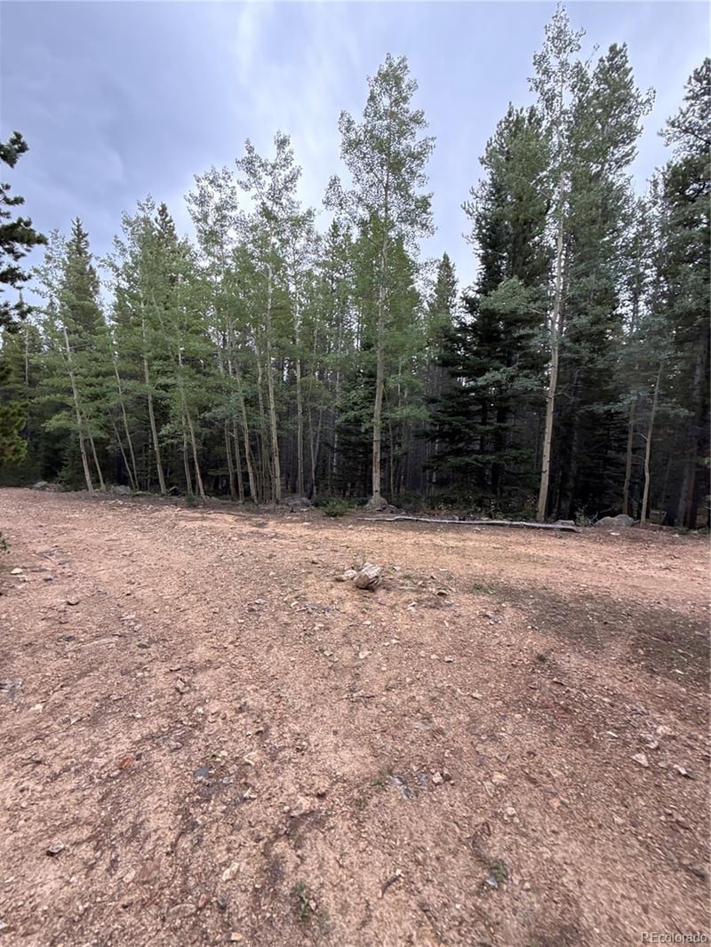 111 Green Ct, Idaho Springs, CO 80452