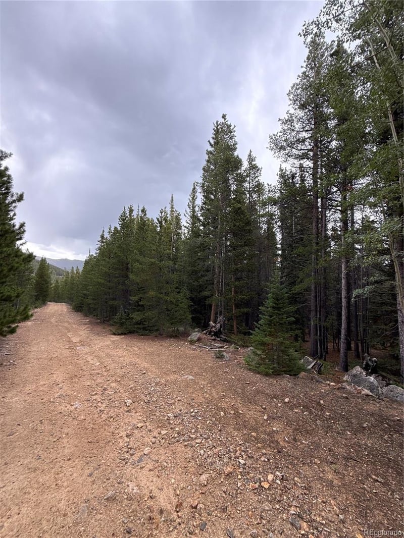111 Green Ct, Idaho Springs, CO 80452