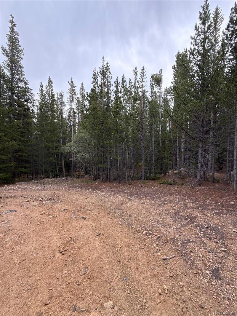 111 Green Ct, Idaho Springs, CO 80452