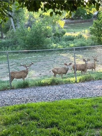 15953 E Baltic Pl, Aurora, CO 80013