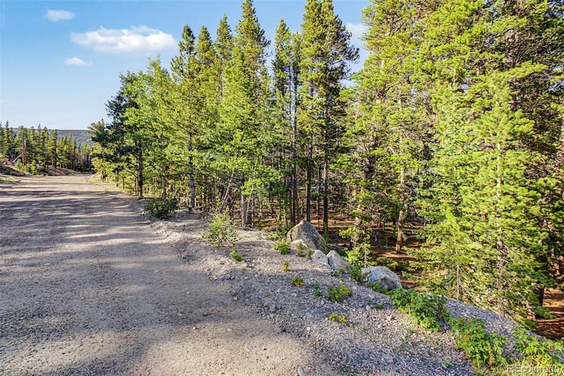 Elk Rd Lot 134, Idaho Springs, CO 80452