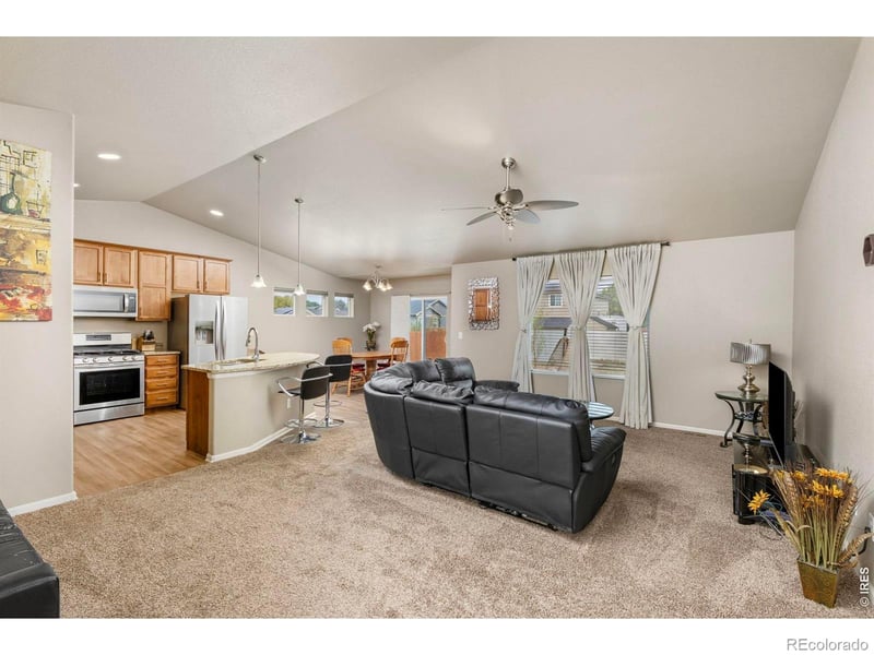 161 E Ilex Ct, Milliken, CO 80543