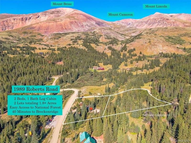 1989 Roberts Rd, Fairplay, CO 80440