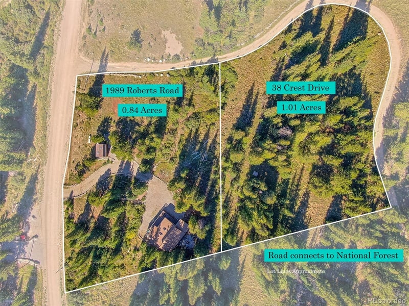 1989 Roberts Rd, Fairplay, CO 80440