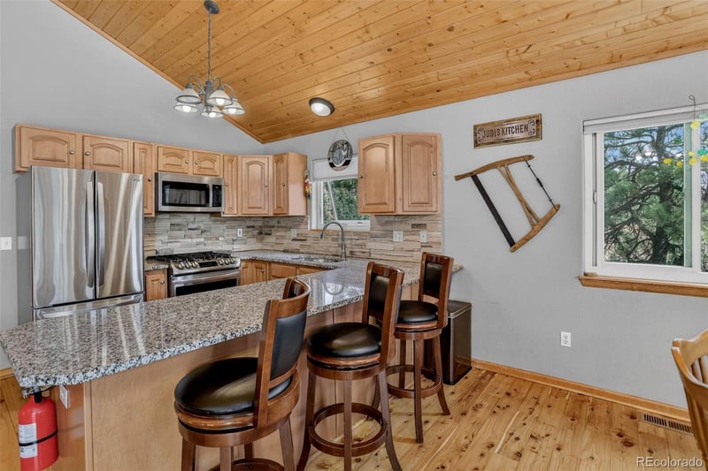 304 Virginia Rd, Bailey, CO 80421