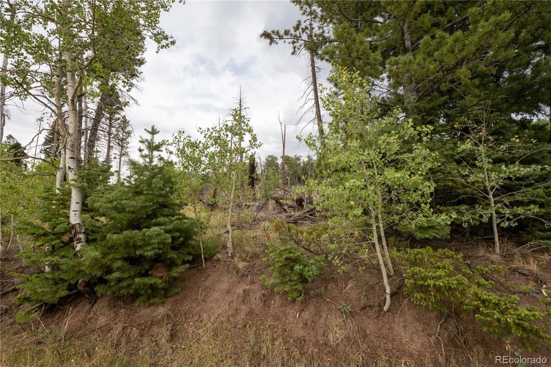 Lot 2571 Andes Loop Lot 2571, Fort Garland, CO 81133