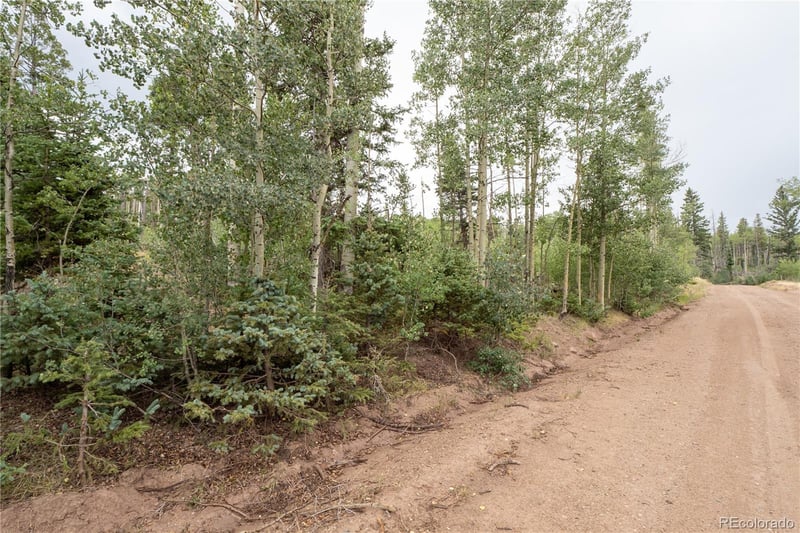 Lot 2571 Andes Loop Lot 2571, Fort Garland, CO 81133