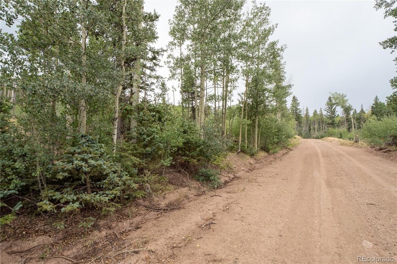 Lot 2571 Andes Loop Lot 2571, Fort Garland, CO 81133