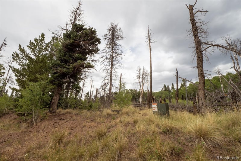 Lot 2571 Andes Loop Lot 2571, Fort Garland, CO 81133