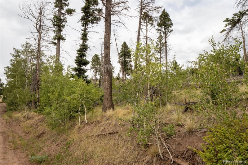 Lot 2571 Andes Loop Lot 2571, Fort Garland, CO 81133