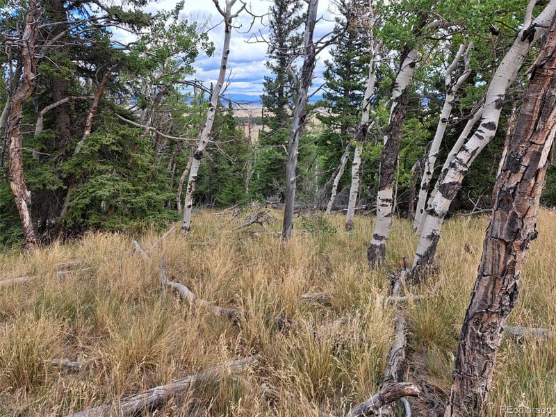 1844 High Creek Rd, Fairplay, CO 80440