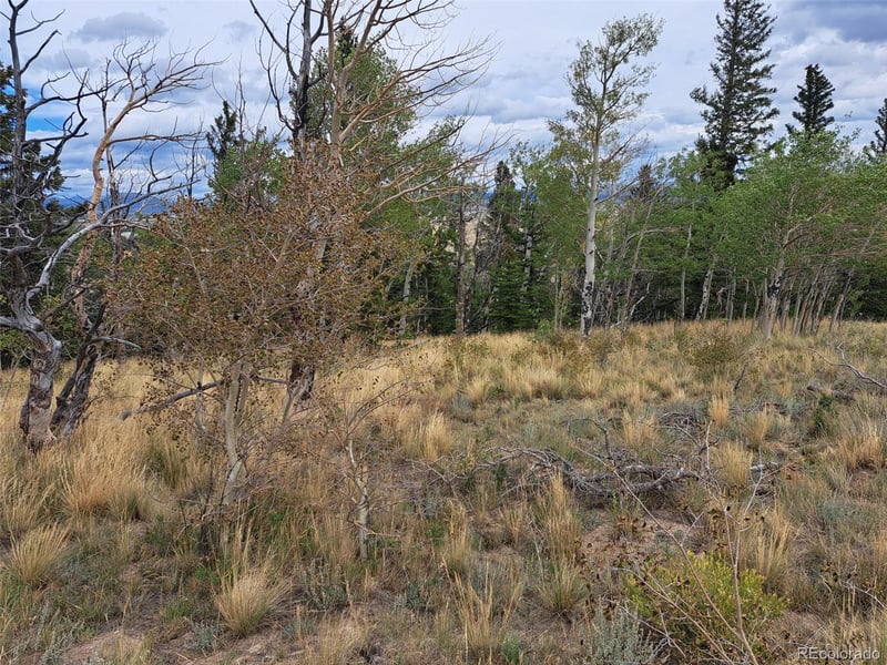 1844 High Creek Rd, Fairplay, CO 80440