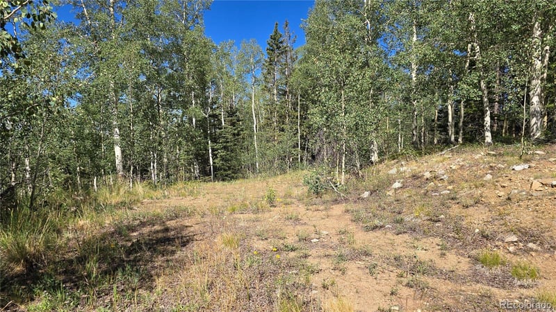 Lot 6174 Forbes Rd Lot 6174, San Luis, CO 81152