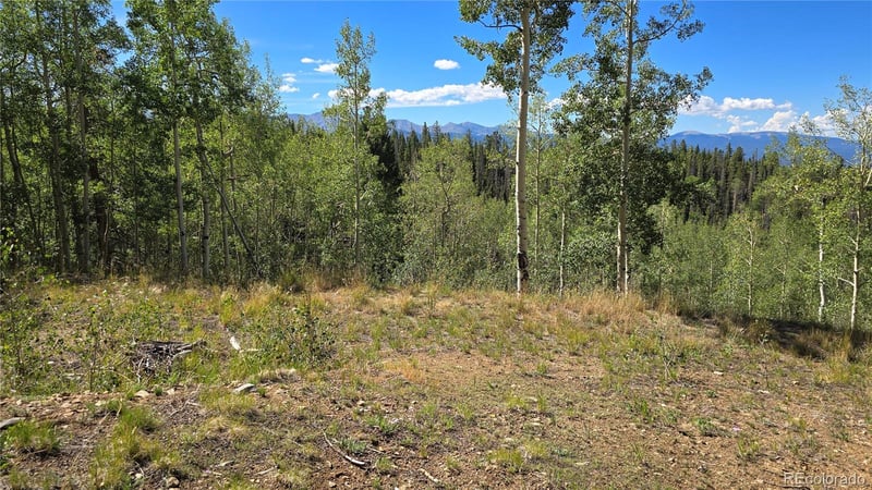 Lot 6174 Forbes Rd Lot 6174, San Luis, CO 81152