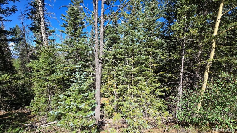 Lot 6174 Forbes Rd Lot 6174, San Luis, CO 81152