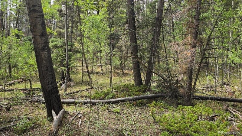 Lot 6269 Shioshita Rd Lot 6269, San Luis, CO 81152