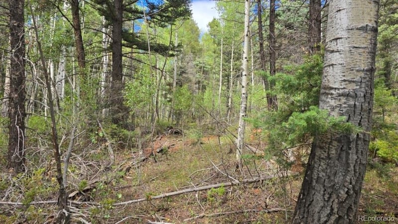 Lot 6269 Shioshita Rd Lot 6269, San Luis, CO 81152