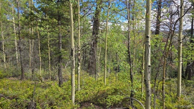 Lot 6269 Shioshita Rd Lot 6269, San Luis, CO 81152