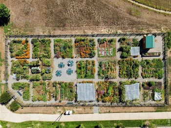 1234 Lombardi St, Erie, CO 80516