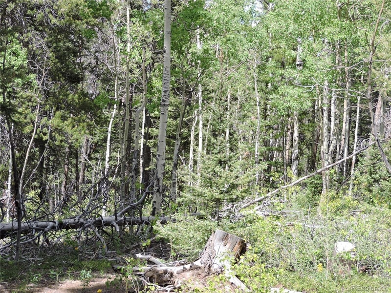 00 Georgia Pass Lookout, Jefferson, CO 80456