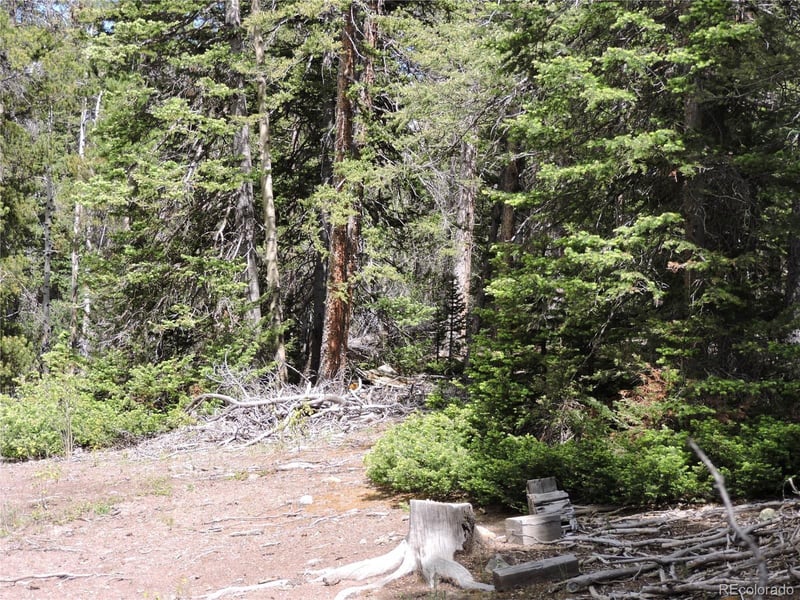 00 Georgia Pass Lookout, Jefferson, CO 80456