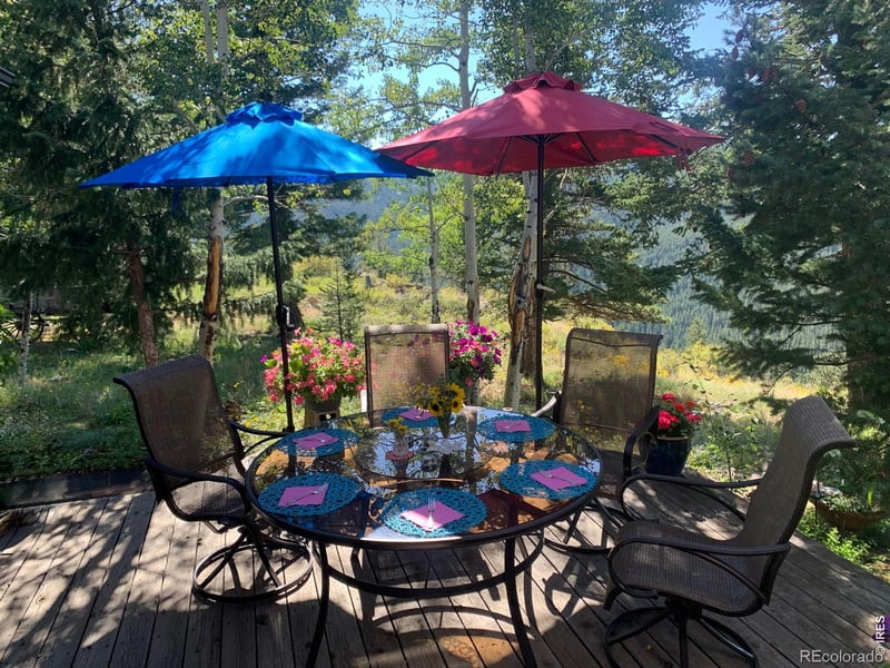 129 Sky View Dr S, Nederland, CO 80466