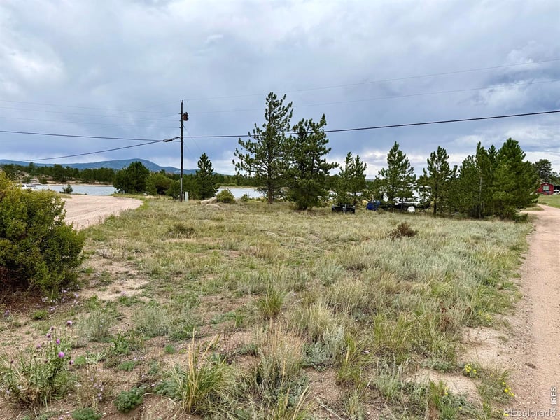 Eagle Tree Cir, Red Feather Lakes, CO 80545