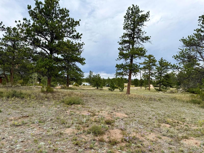 Eagle Tree Cir, Red Feather Lakes, CO 80545
