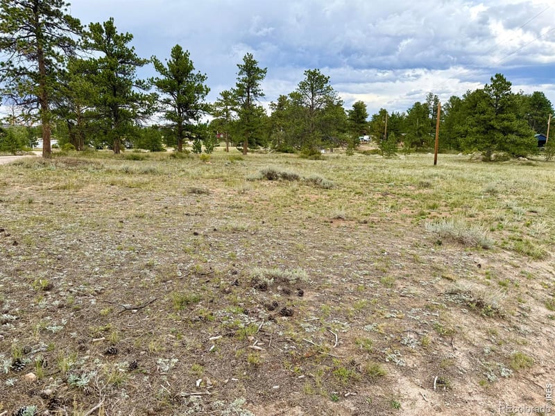 Eagle Tree Cir, Red Feather Lakes, CO 80545