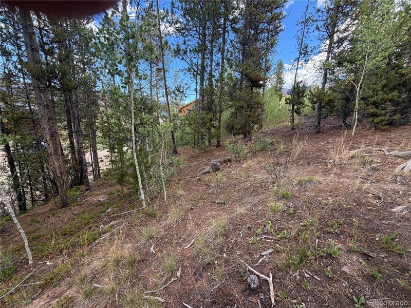 114 and 122 Gcr 4905, Grand Lake, CO 80447