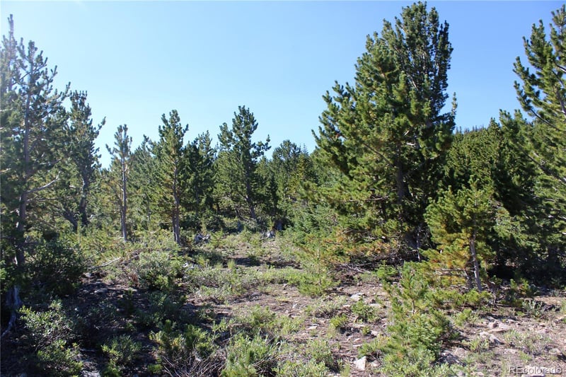 00 Fs 187 1 Lot 18043, Black Hawk, CO 80422