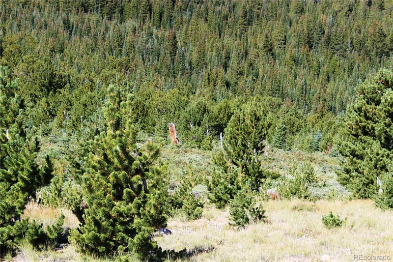 00 Fs 187 1 Lot 18043, Black Hawk, CO 80422